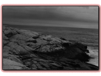 [The silent shore]