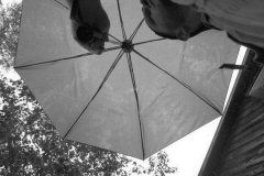[Singing in the rain...]