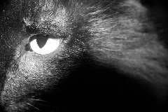 [Looking for something?]